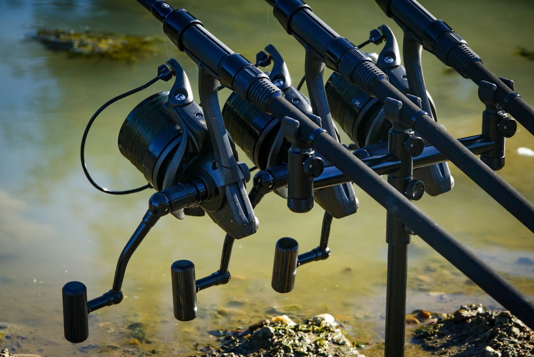 New in at Fenland Tackle Exchange: Wychwood Extremis Reels