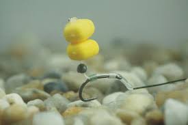 Drastic Plastic: The Great Hookbait Debate