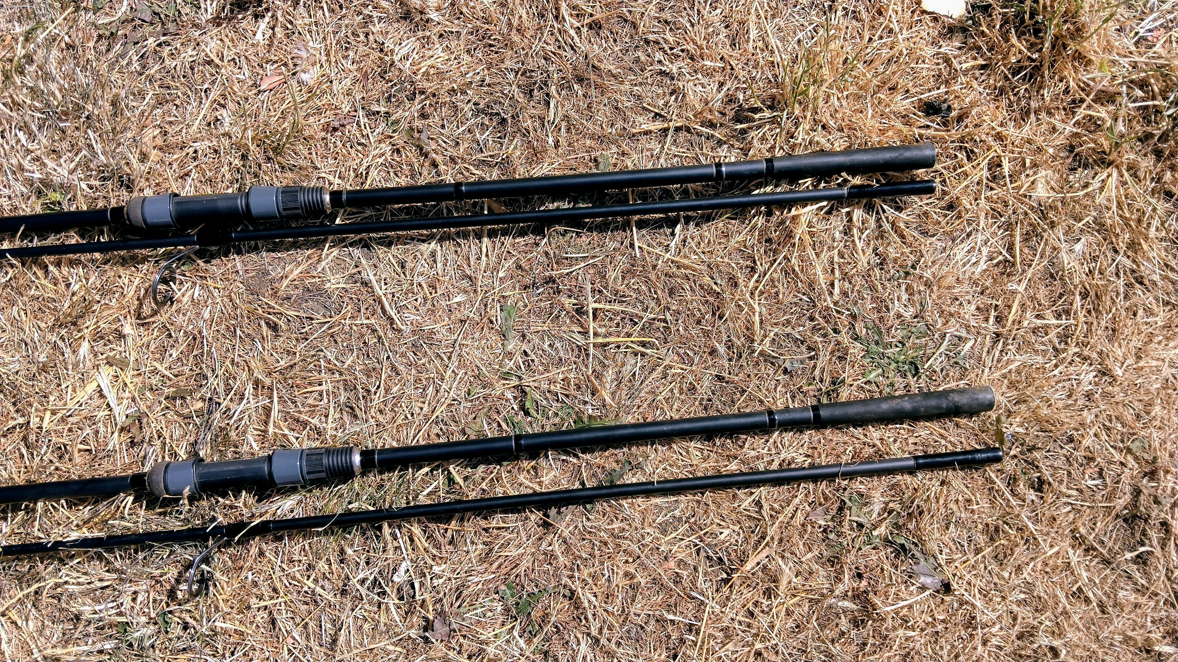 Pair of Shimano Nexave AX 12' 2.75lb Test Curve Carp Fishing Rods