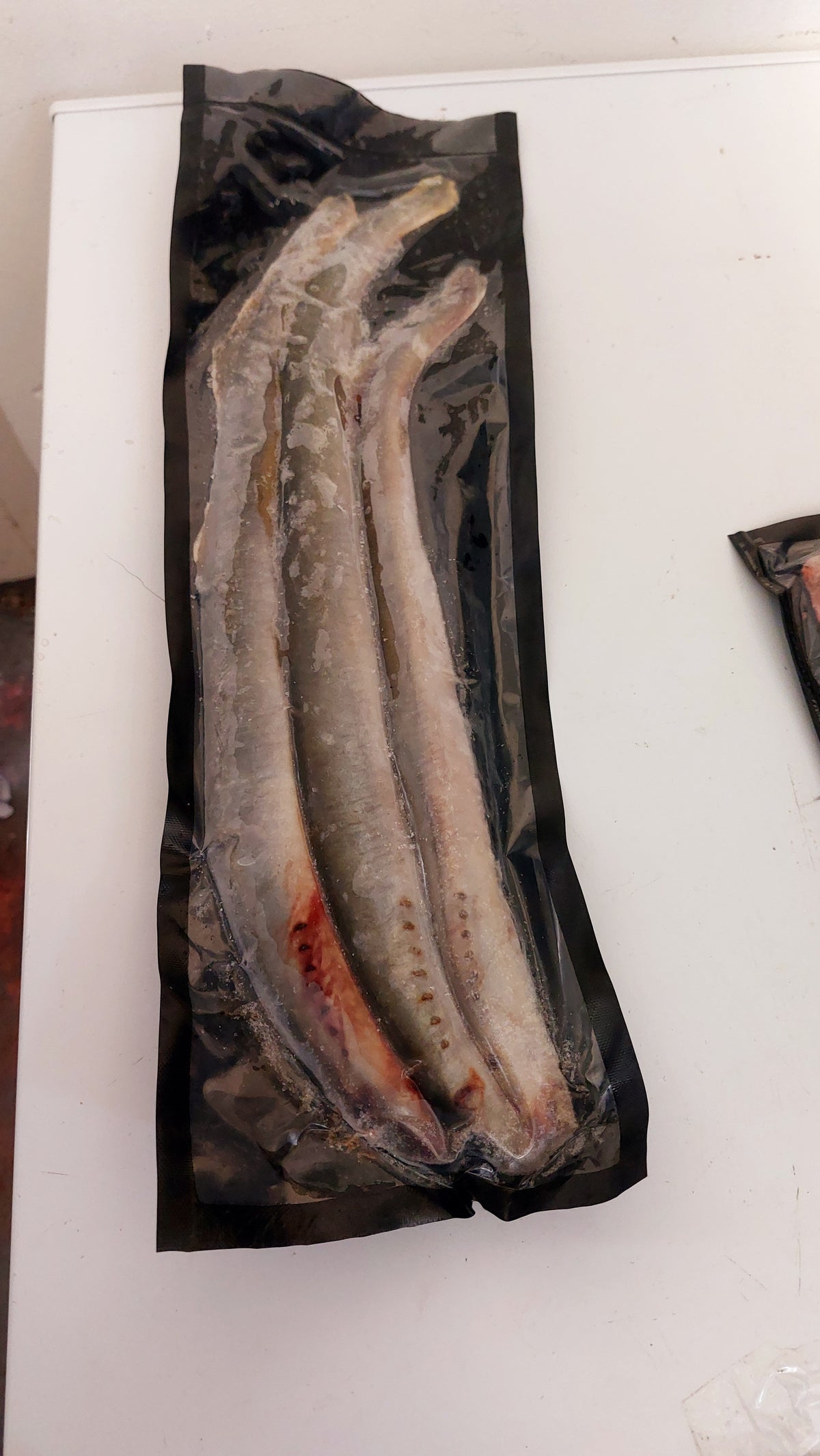 Frozen Pike Baits inc Bream, Lamprey, Mackerel, Roach, Sardines, Smelt