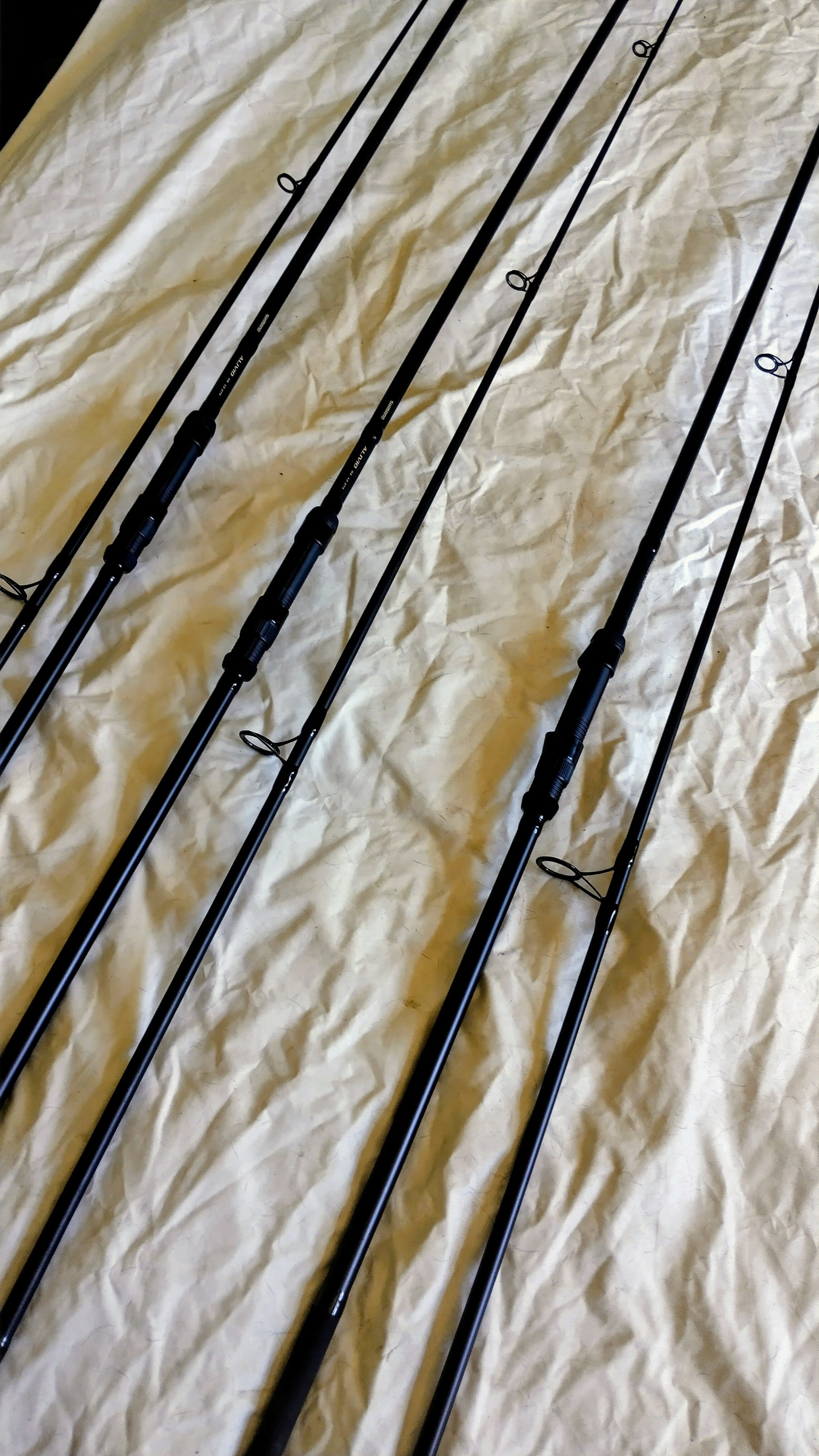 Shimano Alivio 12ft 2.75lb Carp / Specimen Rods Set of 3 - Classic Allrounders