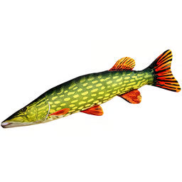Gaby Fish Pillow Novelty Plush Gift Carp Pike Catfish Angling Bedchair Cushion