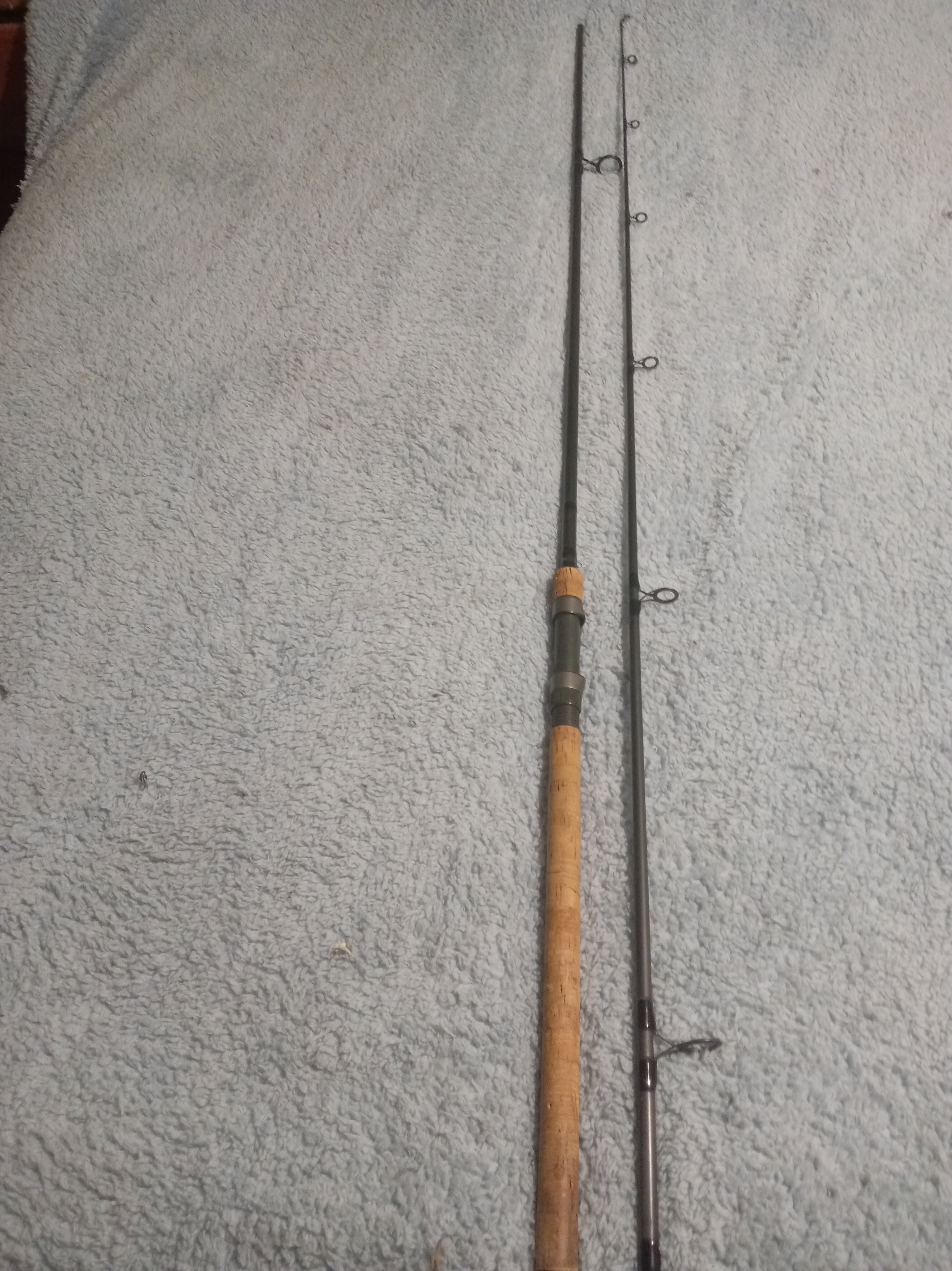 Wychwood Agitator 10ft 2.75lb Deadbait Rod - Predator Fishing