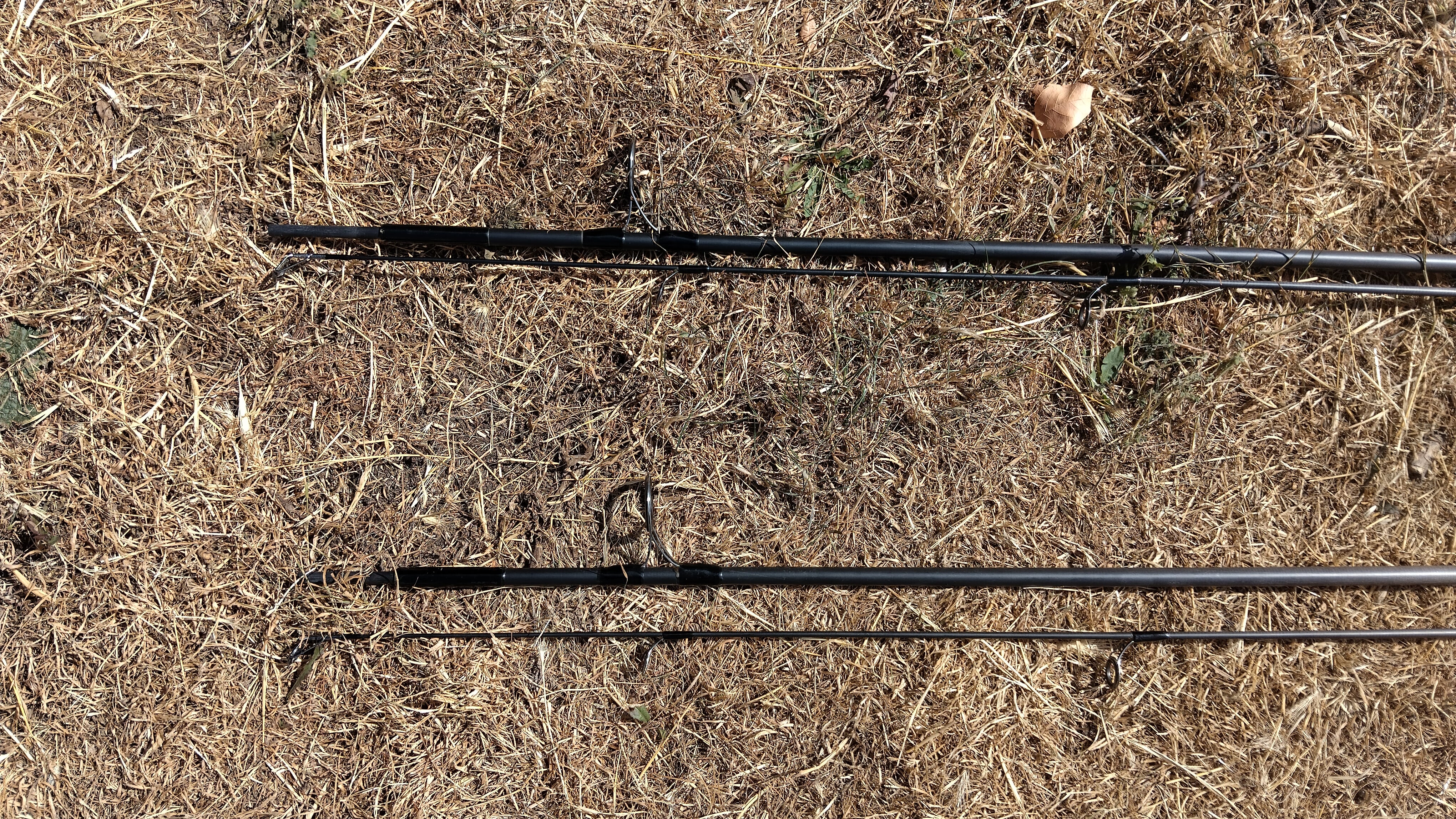 Pair of Shimano Nexave AX 12' 2.75lb Test Curve Carp Fishing Rods
