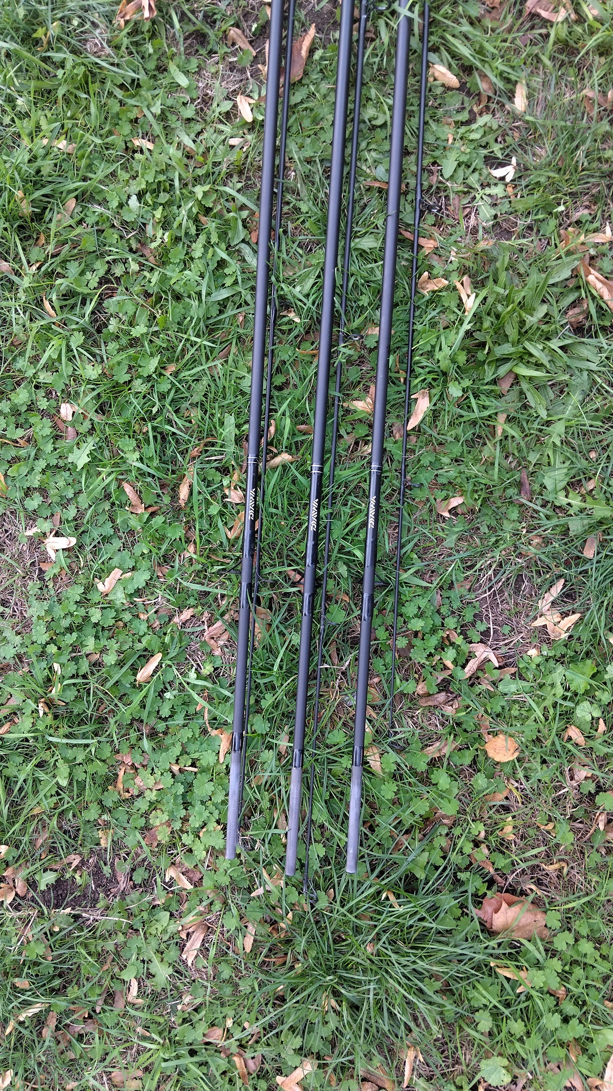 Daiwa Black Widow Carp Rod 12ft 3.25lb - Very Good Condition