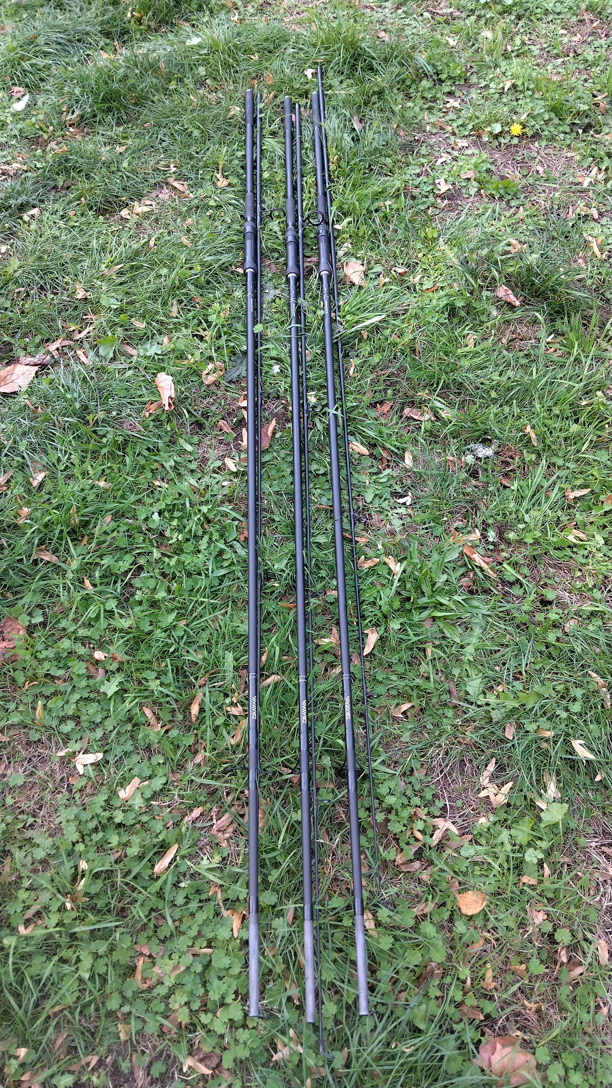 Daiwa Black Widow Carp Rod 12ft 3.25lb - Very Good Condition