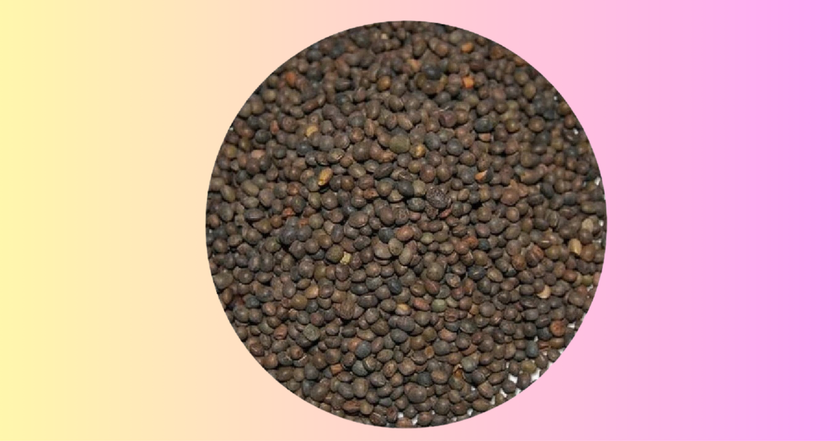 Copdock Angling Unprepared Tares 900g Roach Carp Fishing Bait Particle Seeds