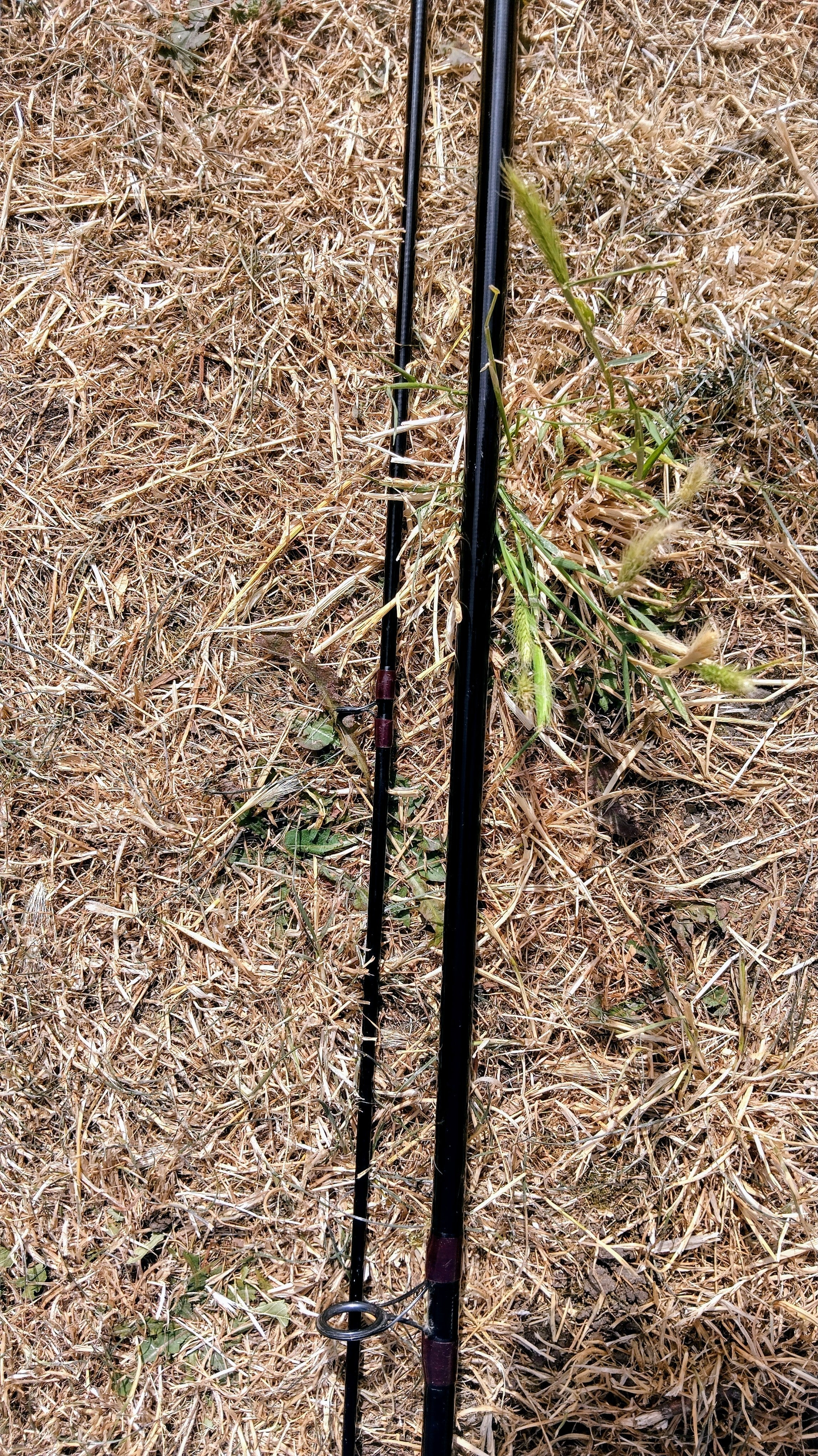 Shimano Stradic 12ft 2lb TC Specimen Rod - 2 Piece - Very Good Condition