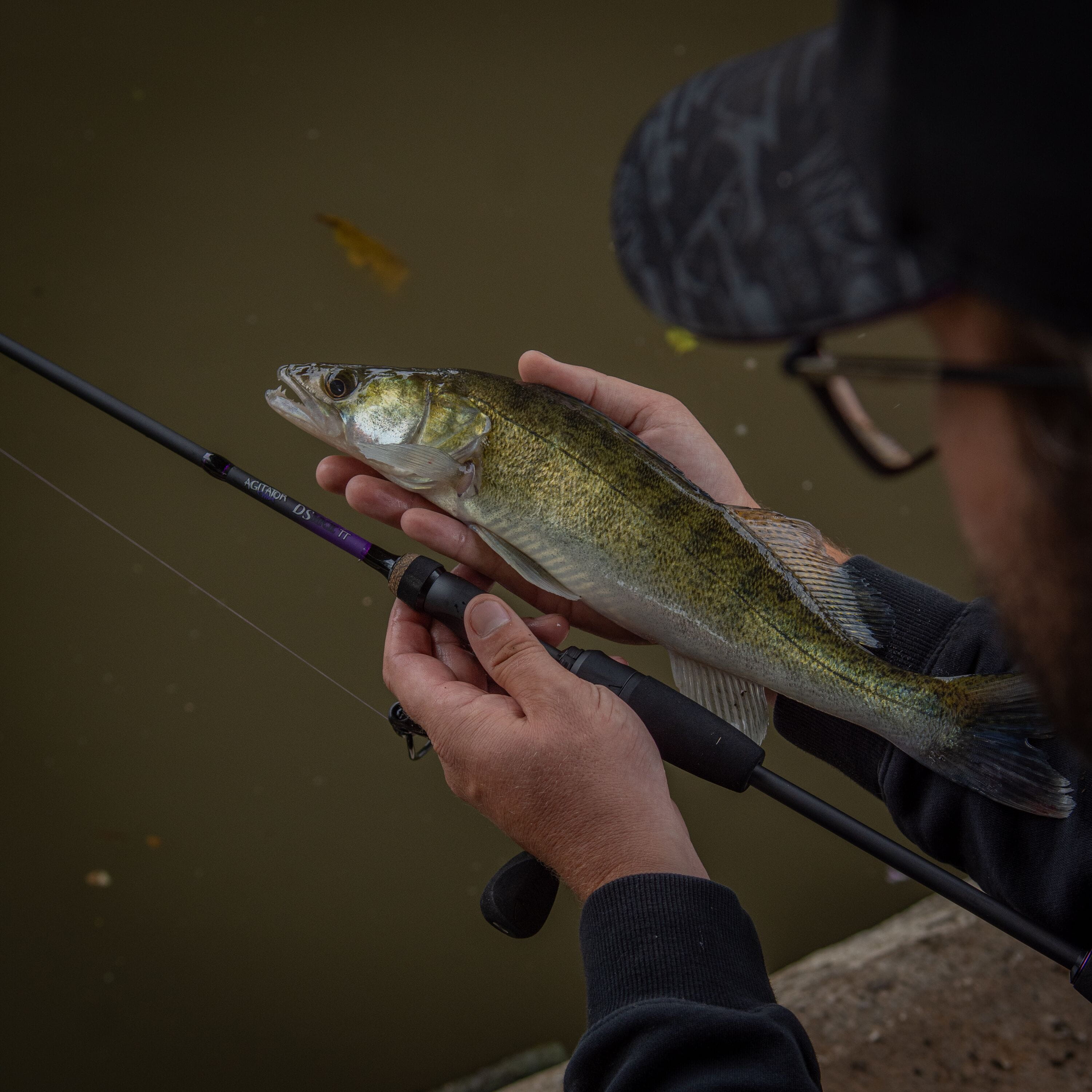 Wychwood Agitator DS MKII Dropshot Rod 8ft 3in 3-20g Lure Fishing Zander Perch