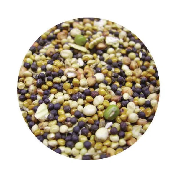Copdock Angling Parti-Blend Mix 1kg | Prepared Mixed Particle Carp Bait