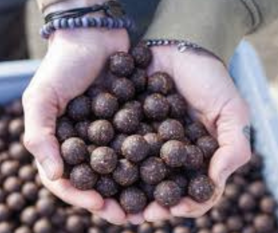 Freezer Bait vs. Shelf Life Bait: Navigating Your Boilie Choices for Big Cambs Carp