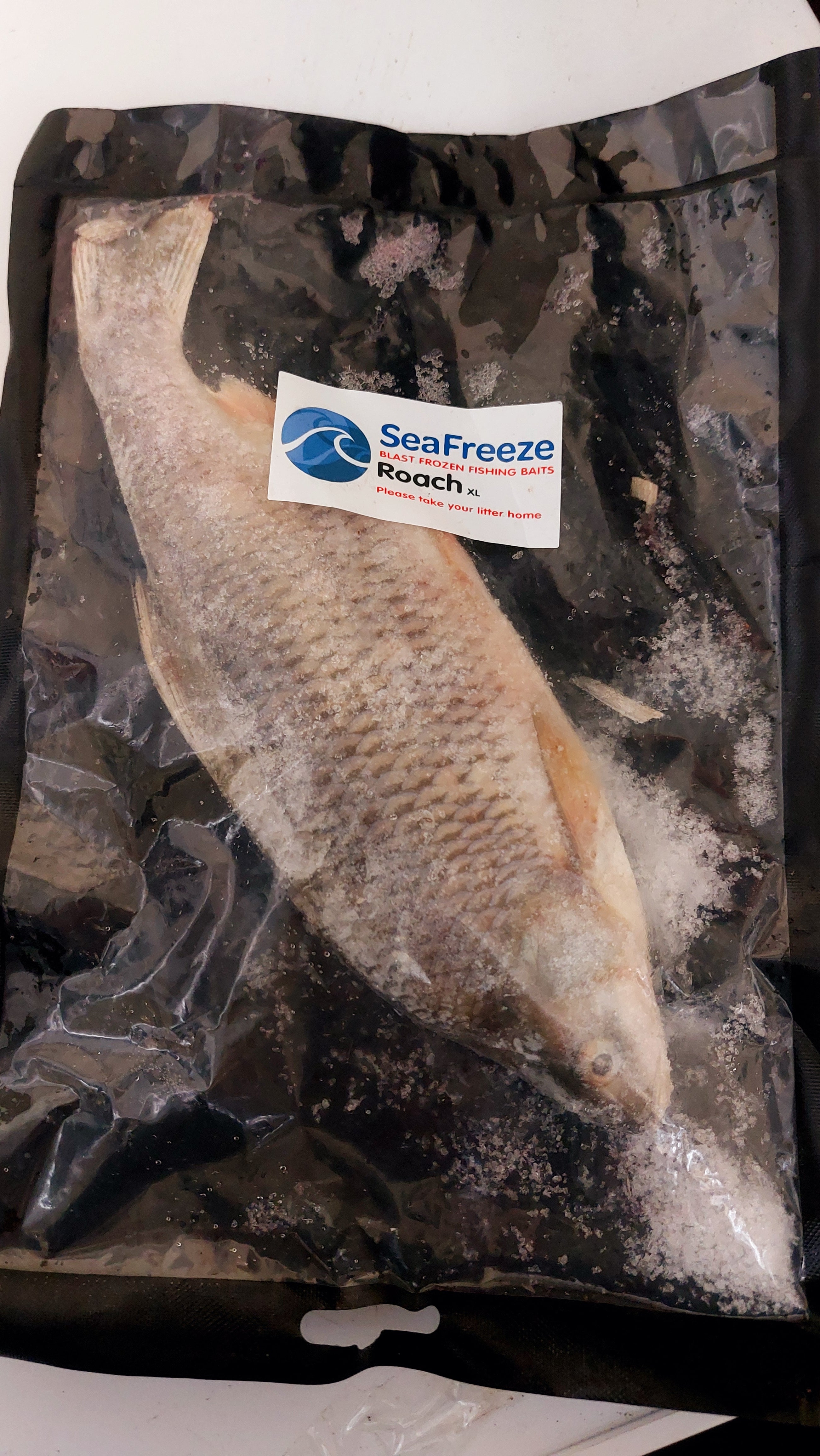 Frozen Pike Baits inc Bream, Lamprey, Mackerel, Roach, Sardines, Smelt