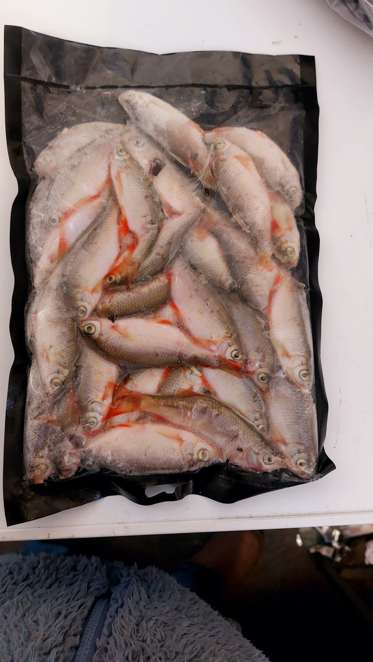 Frozen Pike Baits inc Bream, Lamprey, Mackerel, Roach, Sardines, Smelt
