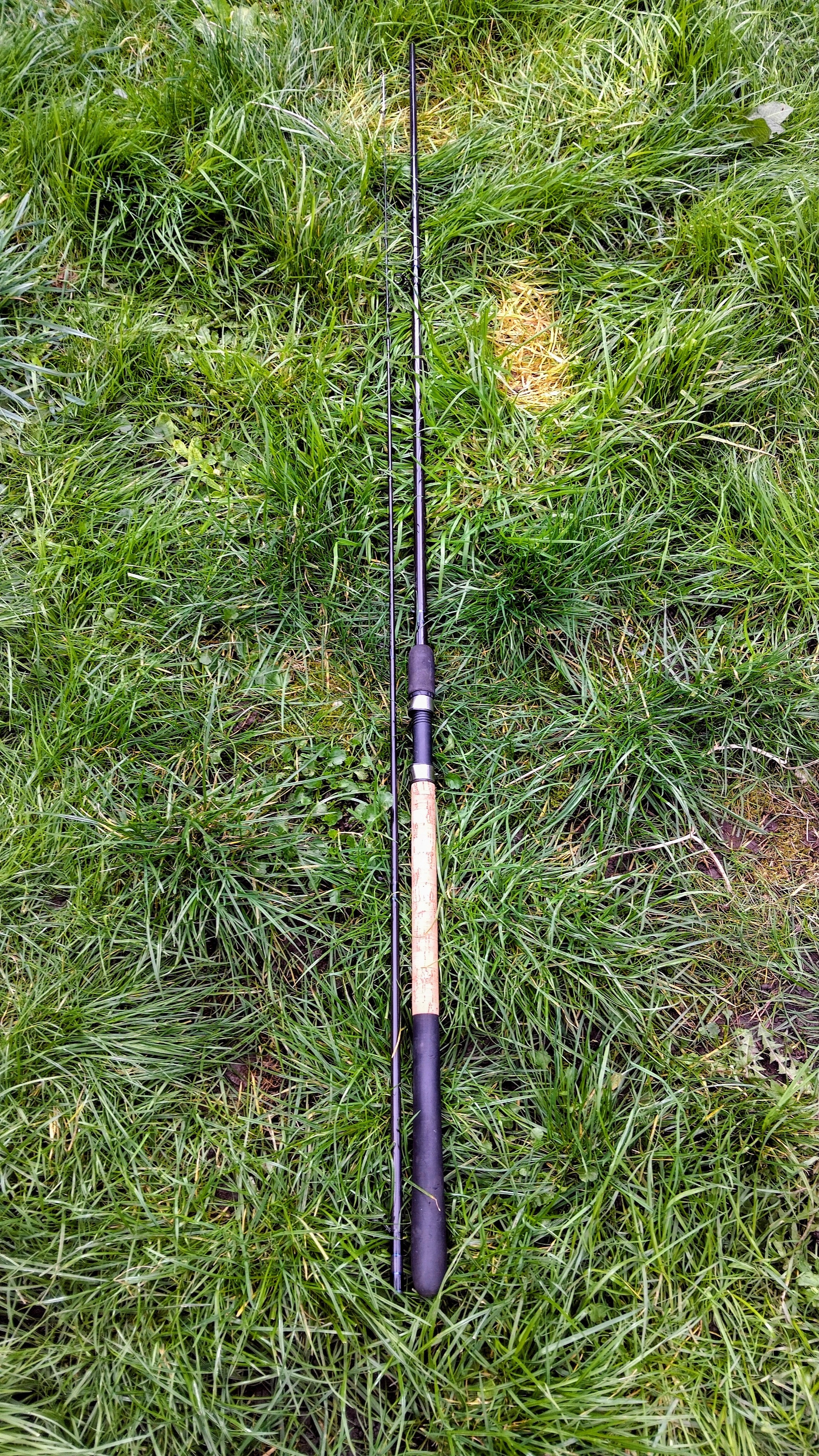 Garbolino Rocket Carp Picker Rod 10ft 2pc | 10-35g Casting | Superb Used Condition
