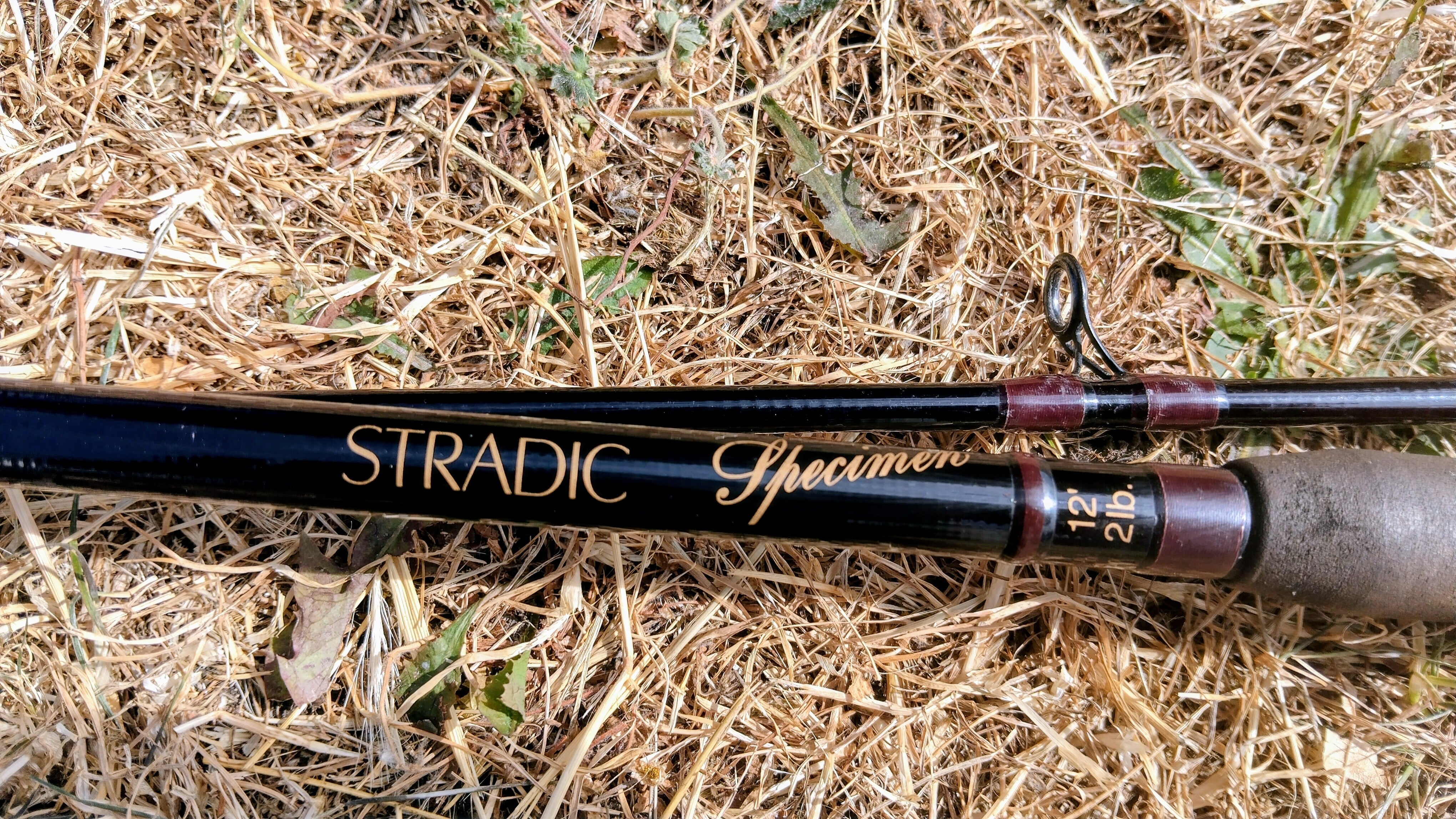 Shimano Stradic 12ft 2lb TC Specimen Rod - 2 Piece - Very Good Condition