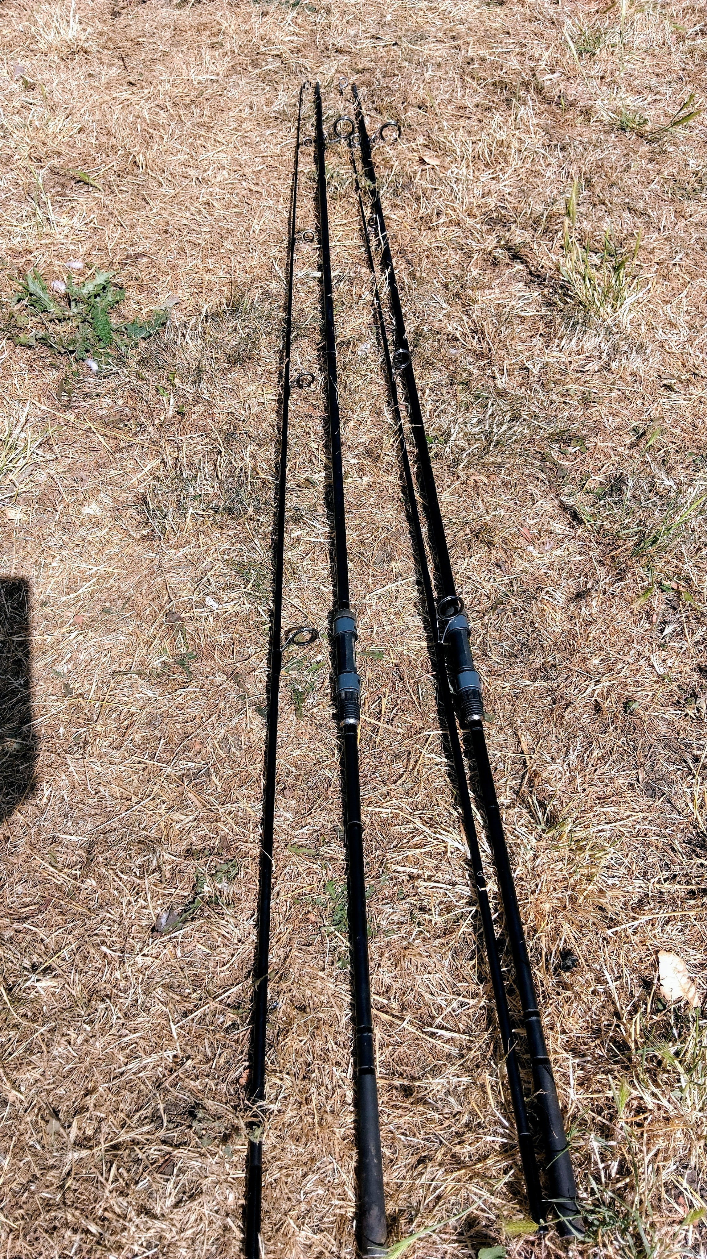 Pair of Shimano Nexave AX 12' 2.75lb Test Curve Carp Fishing Rods