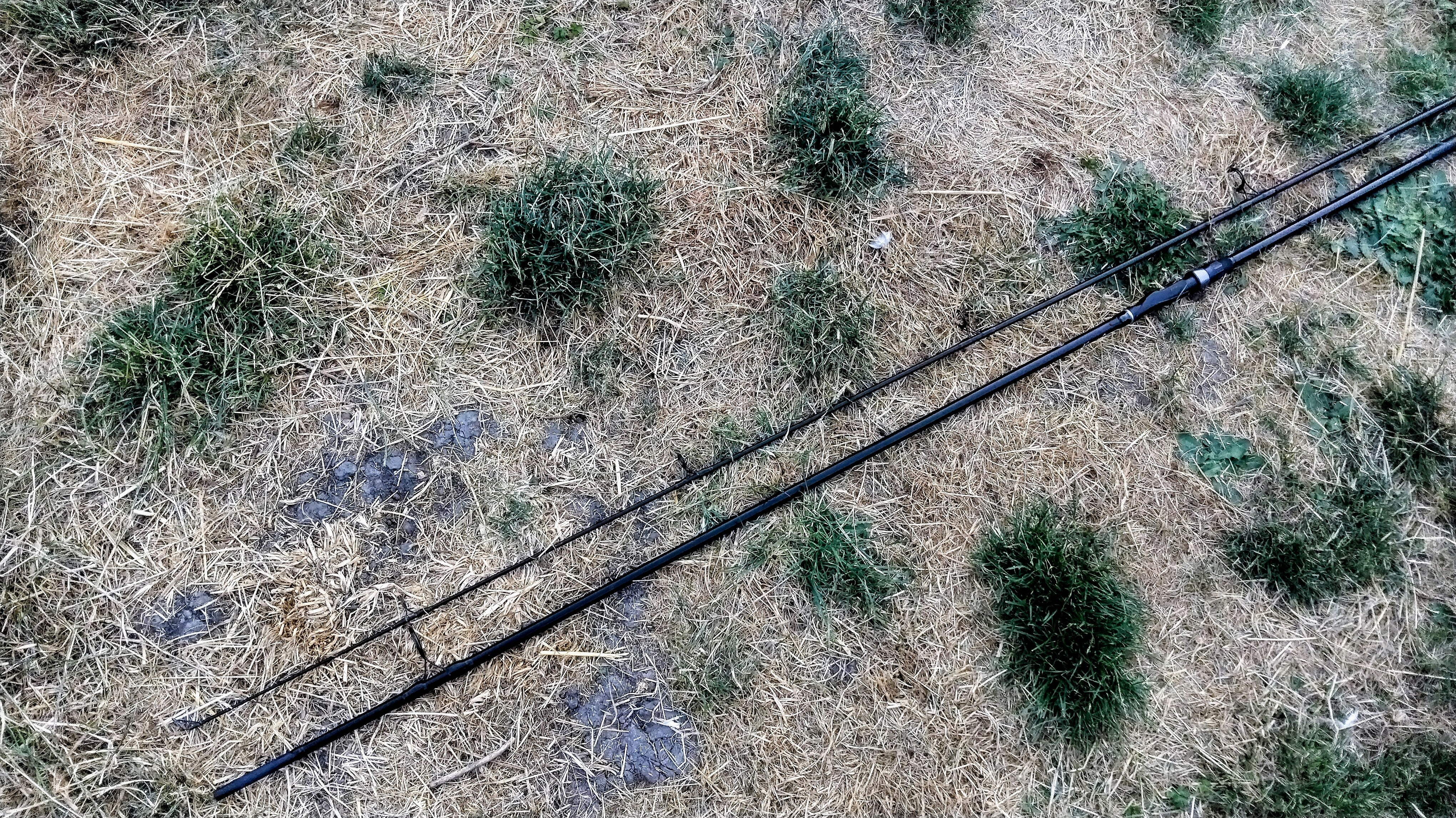 Shimano Vengeance Carp Rod 12ft 3lb TC | Barely Used Excellent Condition With Bag