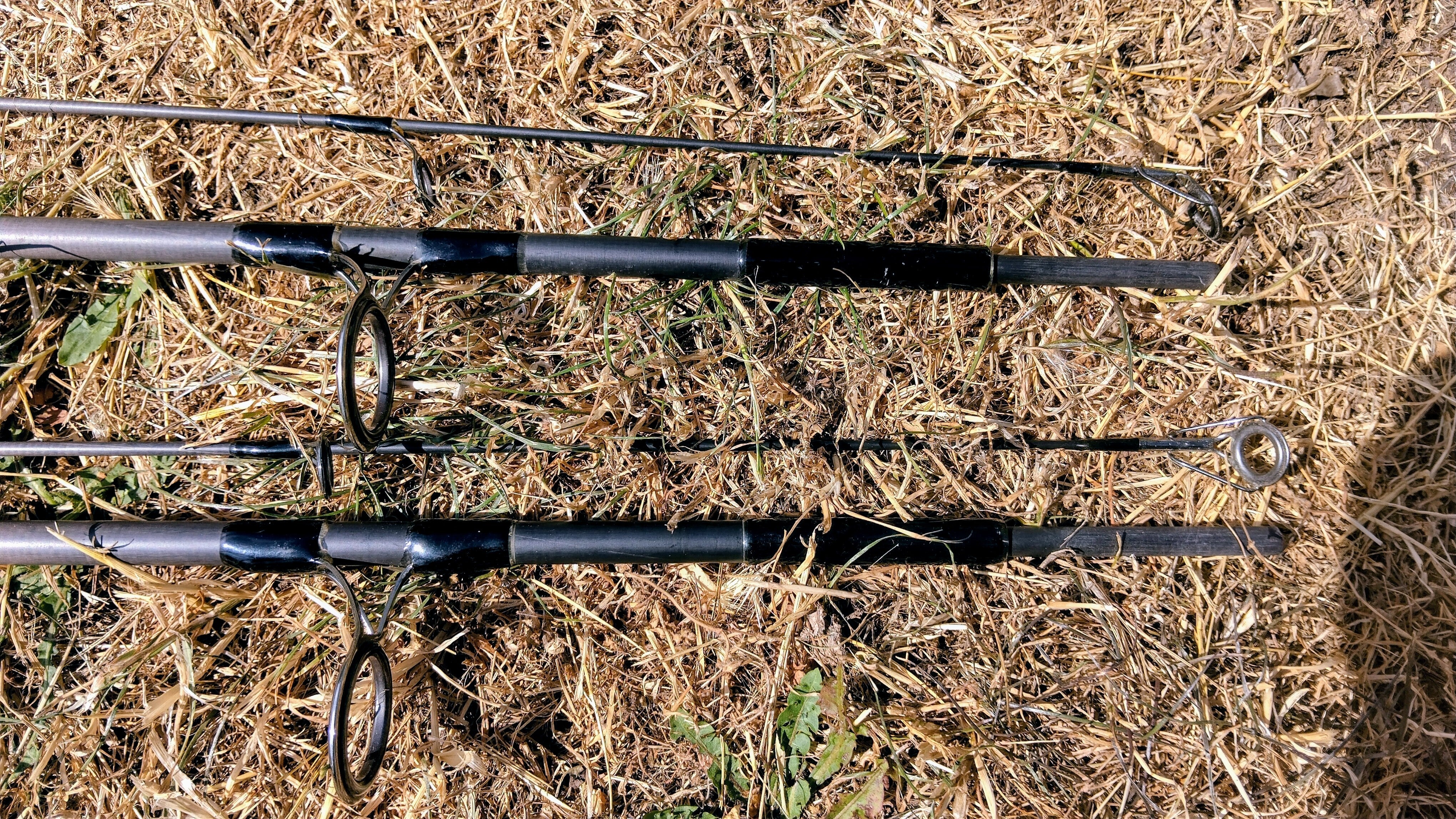 Pair of Shimano Nexave AX 12' 2.75lb Test Curve Carp Fishing Rods