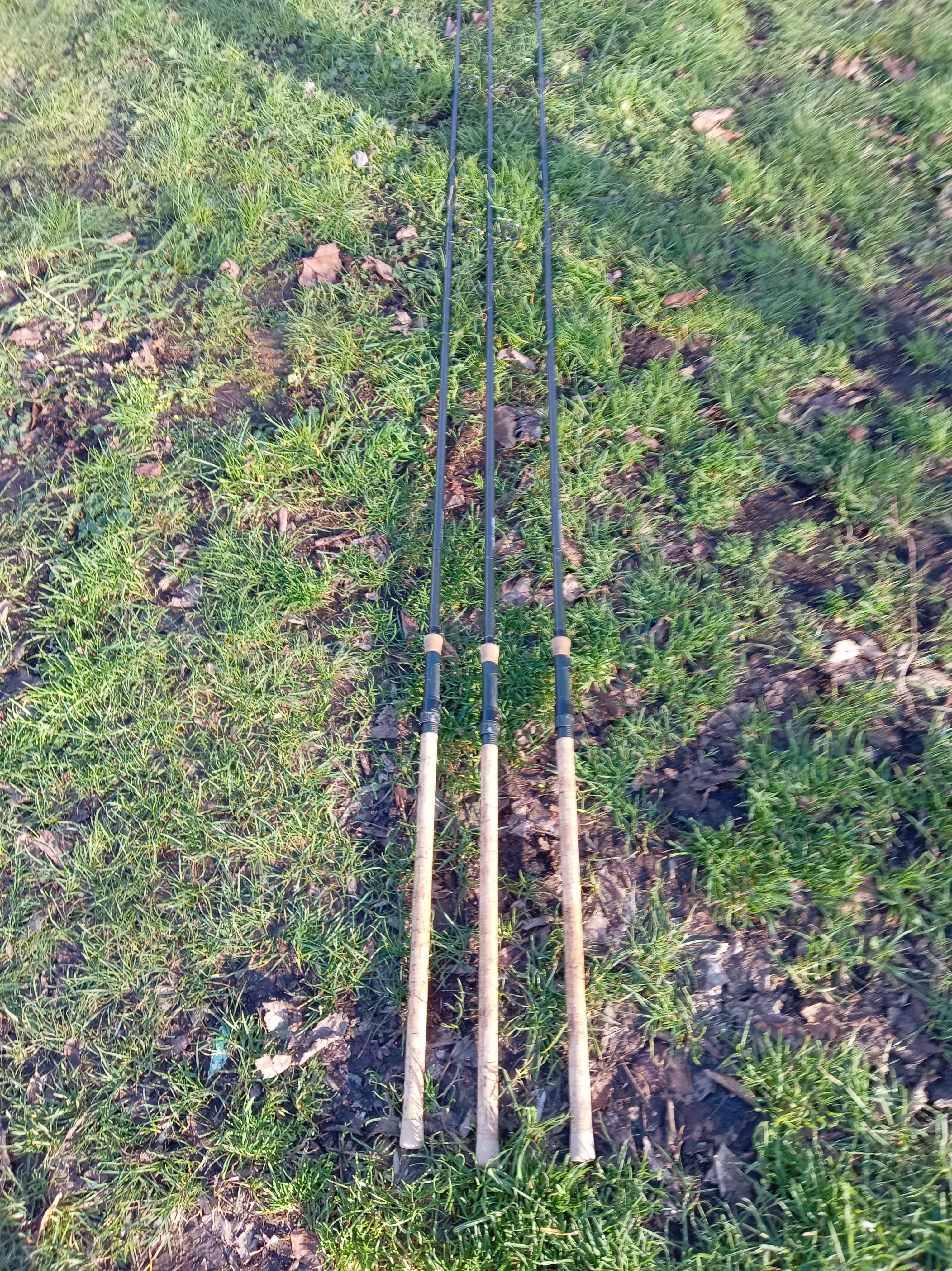 Fox Piker 12ft 3.25lb Deadbait Fishing Rod - Excellent Condition, 3 Available