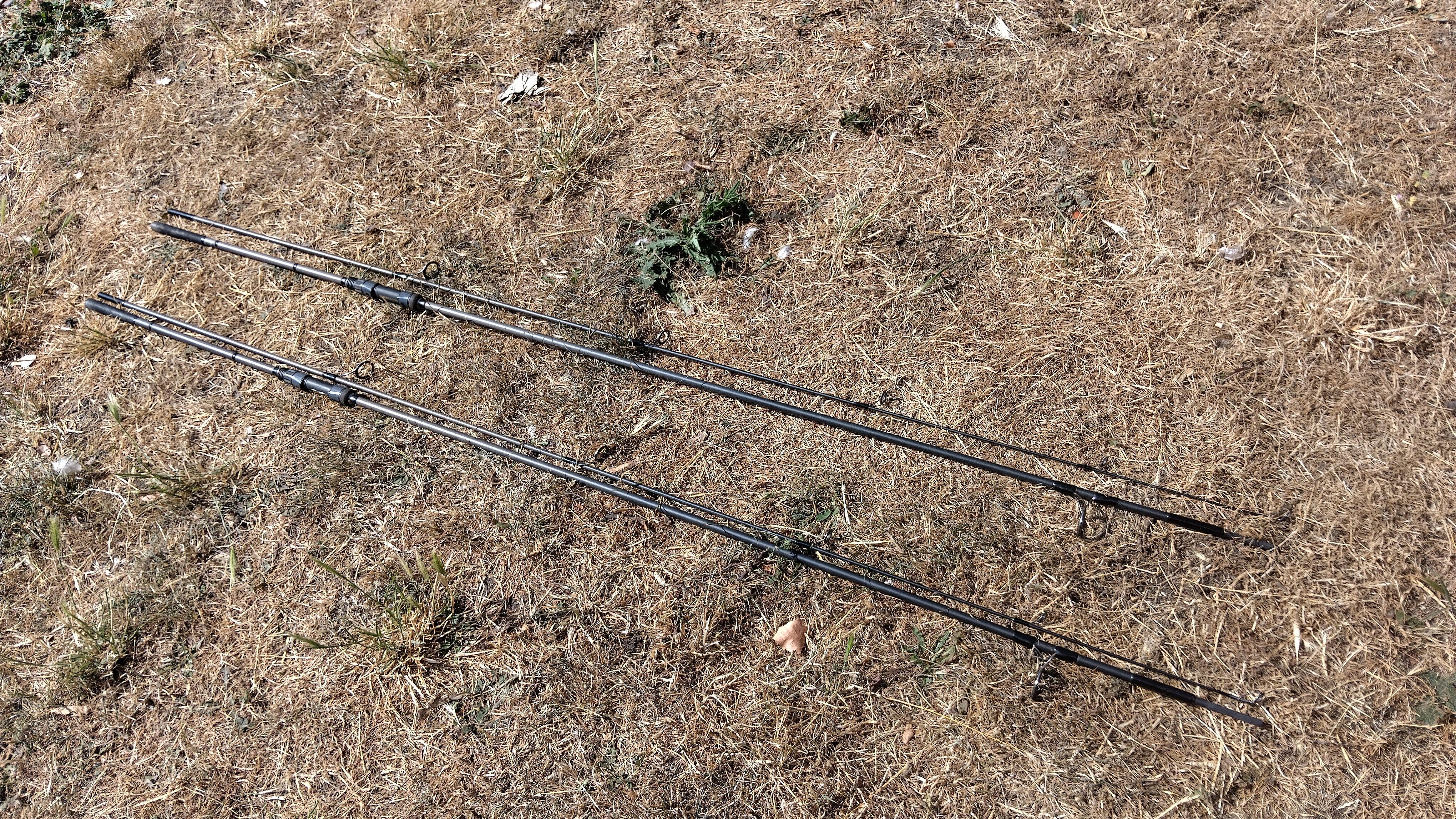 Pair of Shimano Nexave AX 12' 2.75lb Test Curve Carp Fishing Rods