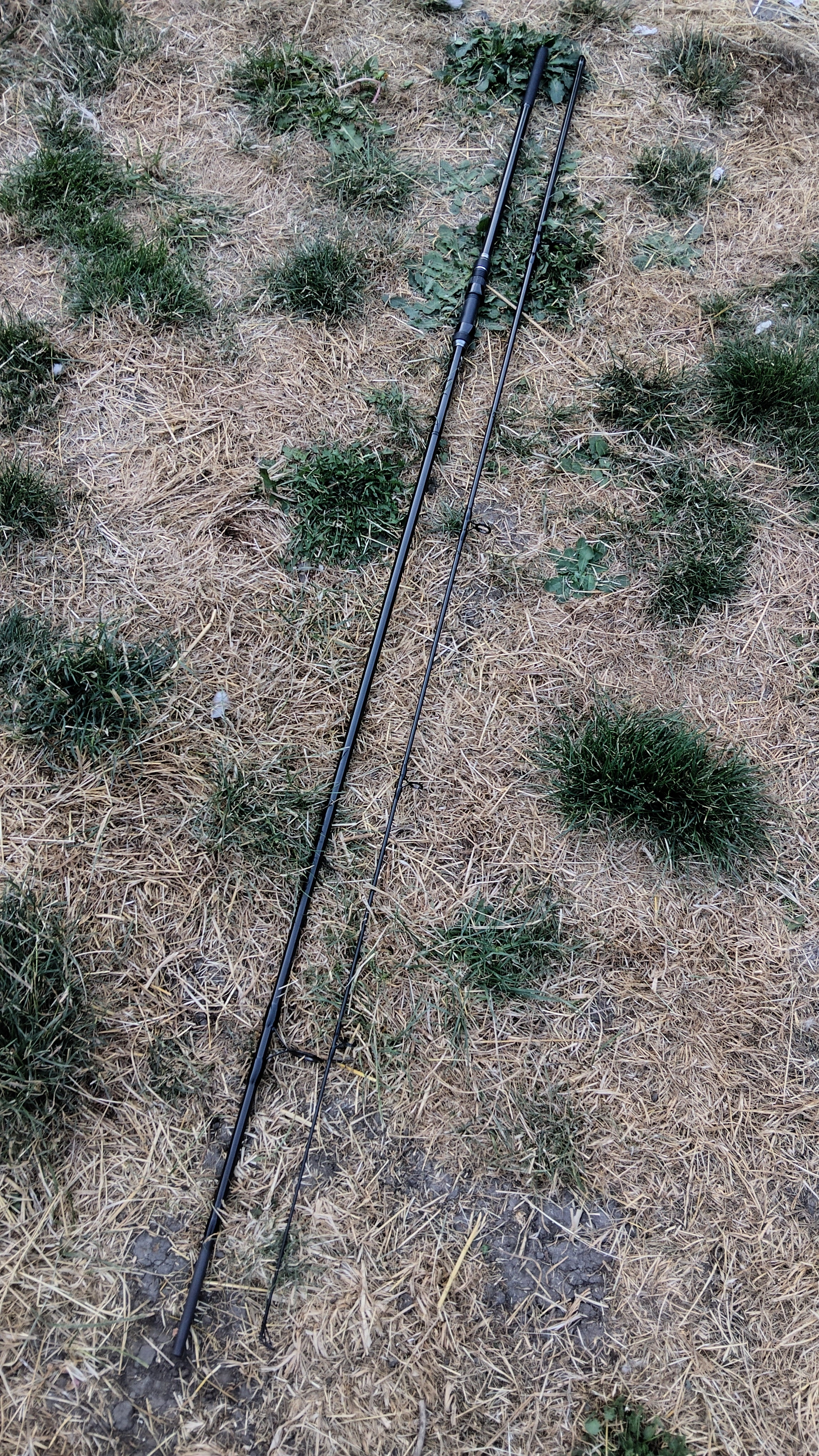 Daiwa Black Widow 12ft 3lb TC Carp Fishing Rod - Model V12300 - Excellent Condition