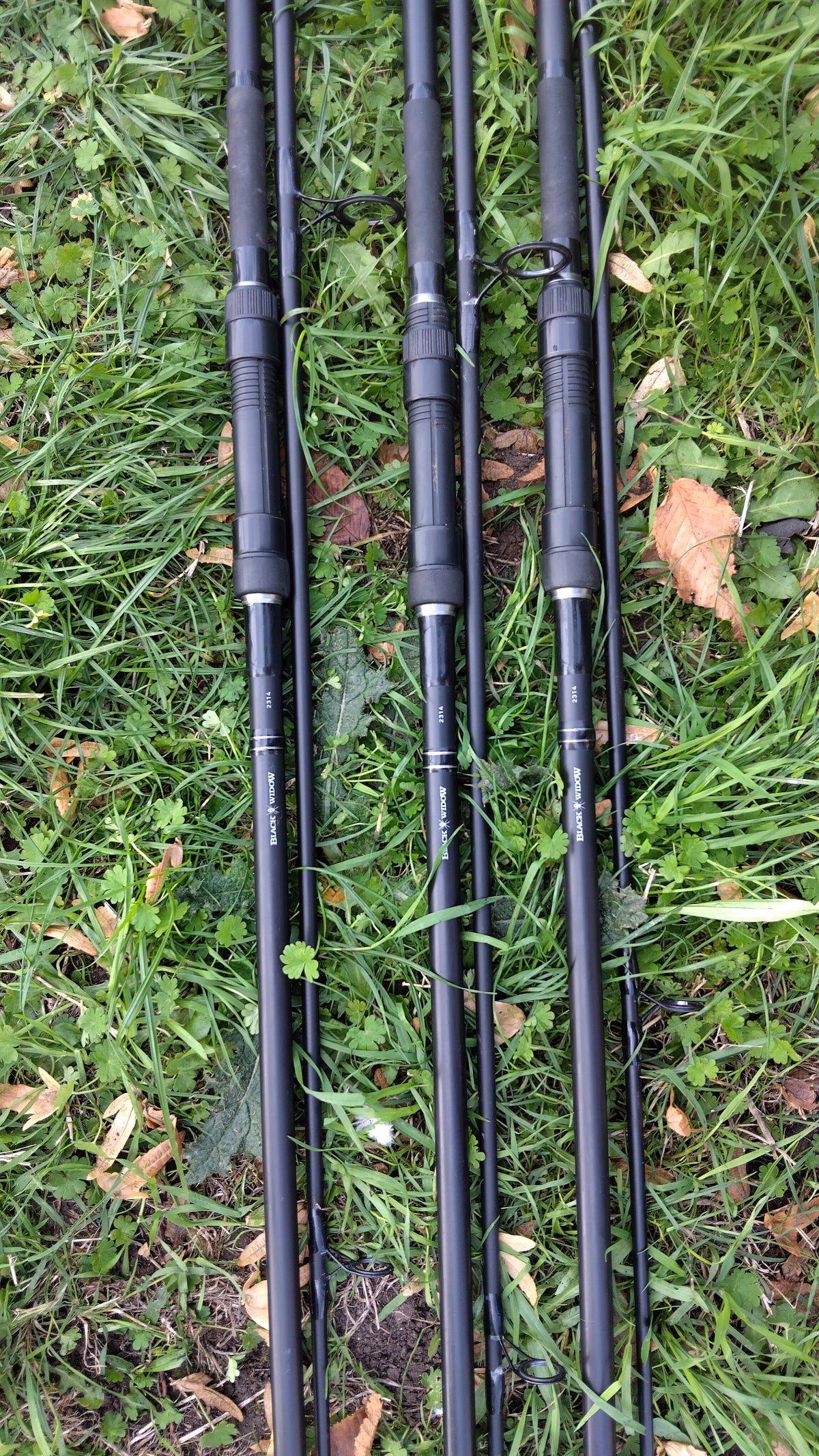 Daiwa Black Widow Carp Rod 12ft 3.25lb - Very Good Condition