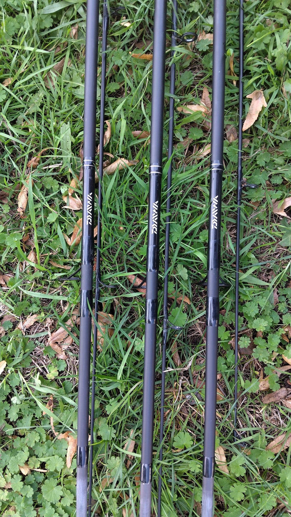 Daiwa Black Widow Carp Rod 12ft 3.25lb - Very Good Condition
