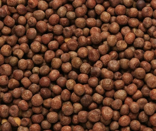 Dried Maple Peas 1kg Customisable Carp Fishing Particle Bait - "Poor Man's Boilies"