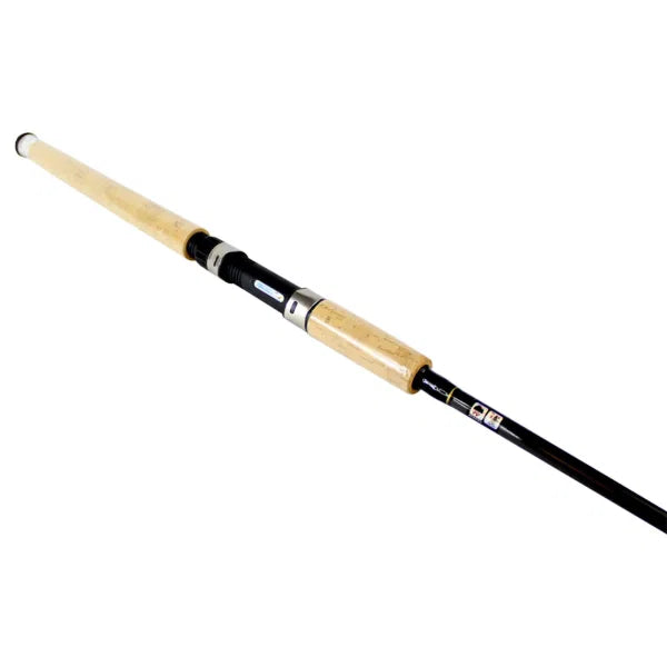 WSB Attura Carbon Spin Rod 8ft 10-56g | 2 Piece Lure Spinning Rod Cork Handle