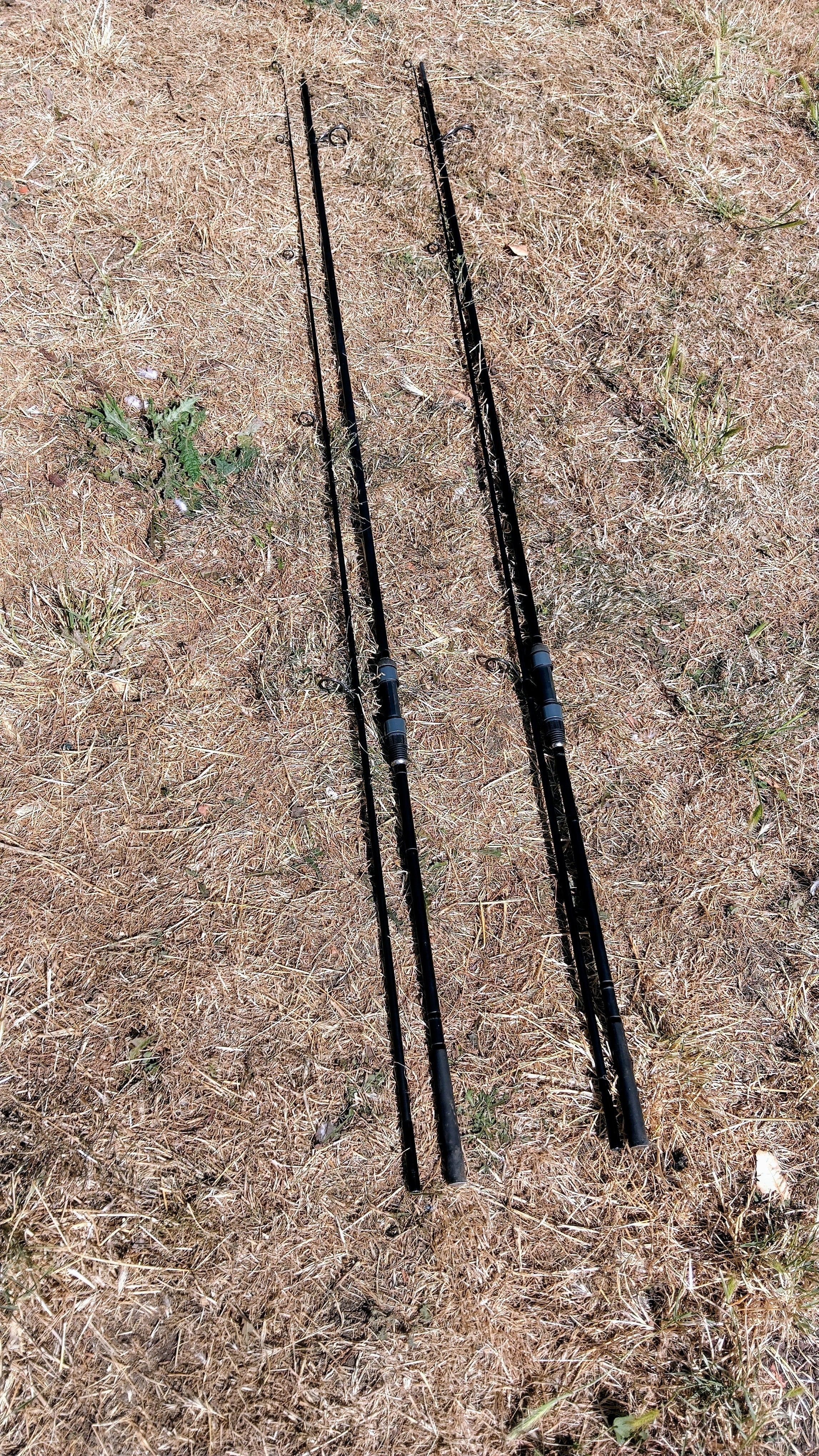 Pair of Shimano Nexave AX 12' 2.75lb Test Curve Carp Fishing Rods