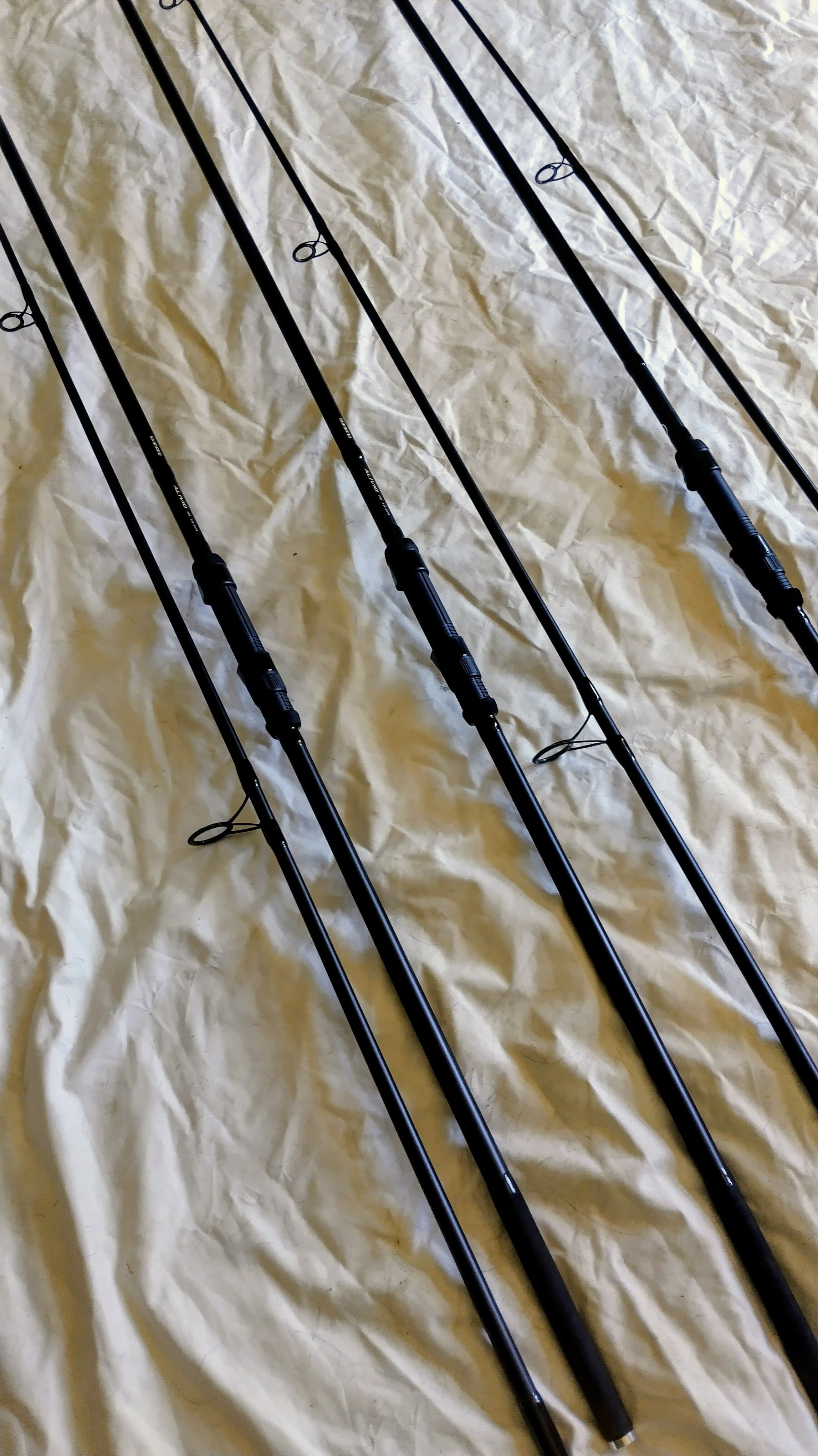 Shimano Alivio 12ft 2.75lb Carp / Specimen Rods Set of 3 - Classic Allrounders