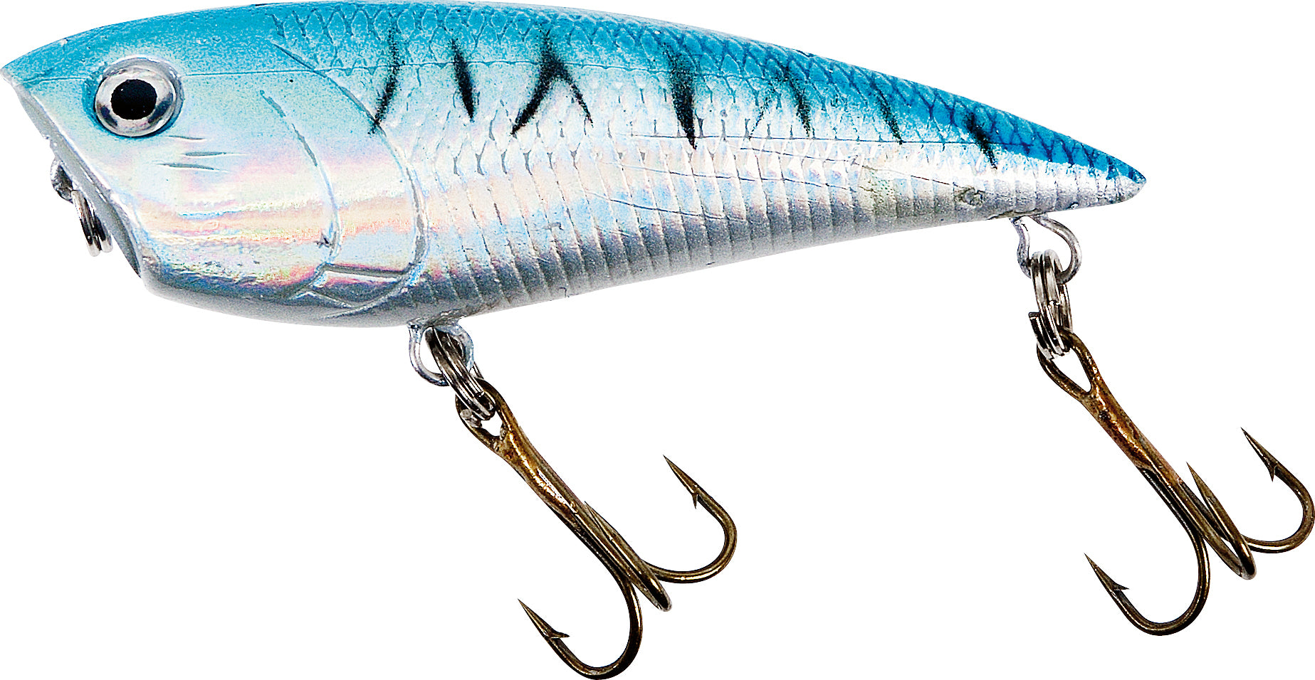 Fladen Eco Popper Lure 6.5cm 8g Blue Mackerel - Floating Surface Plug - Pike Perch