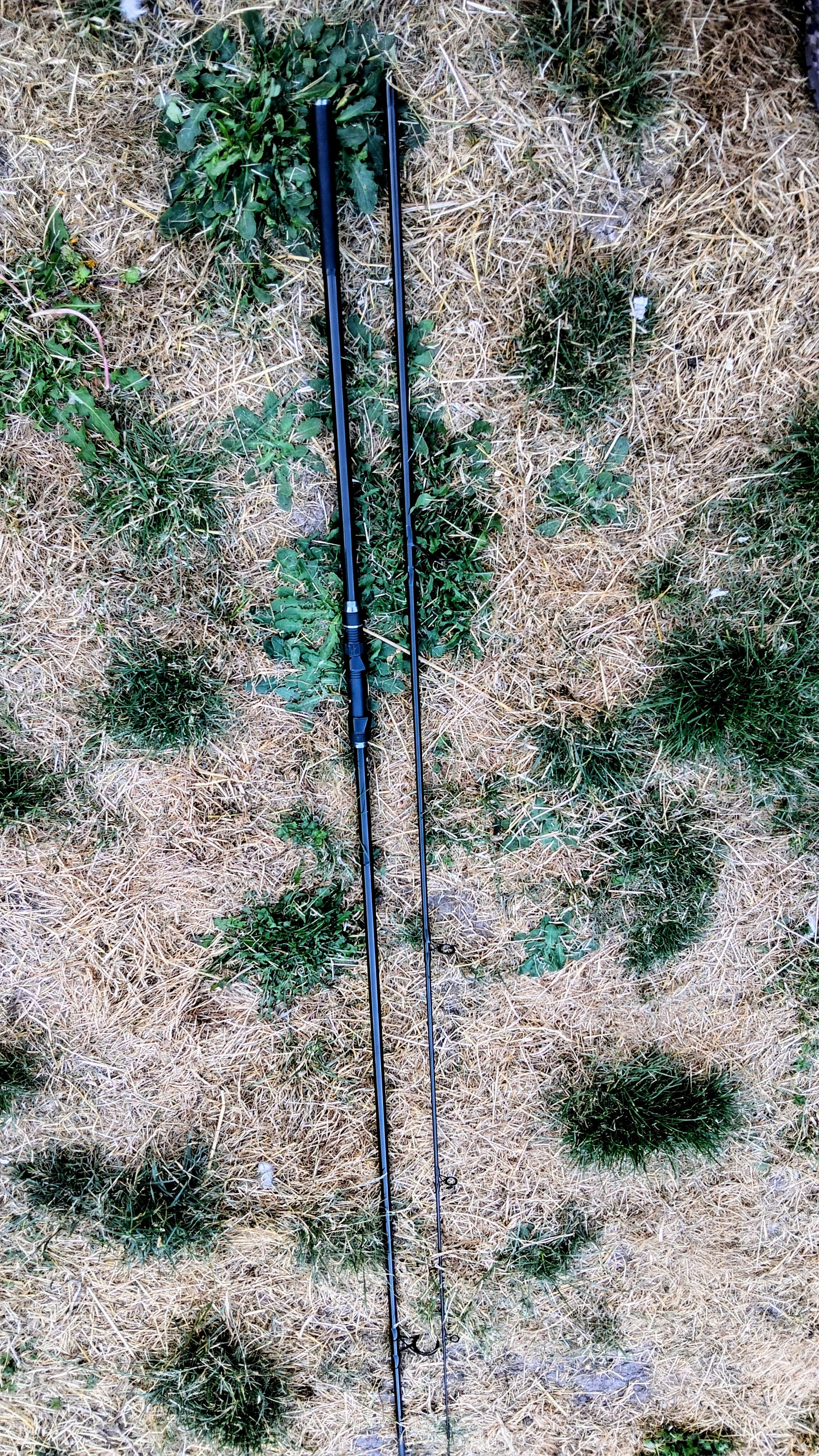 Daiwa Black Widow 12ft 3lb TC Carp Fishing Rod - Model V12300 - Excellent Condition