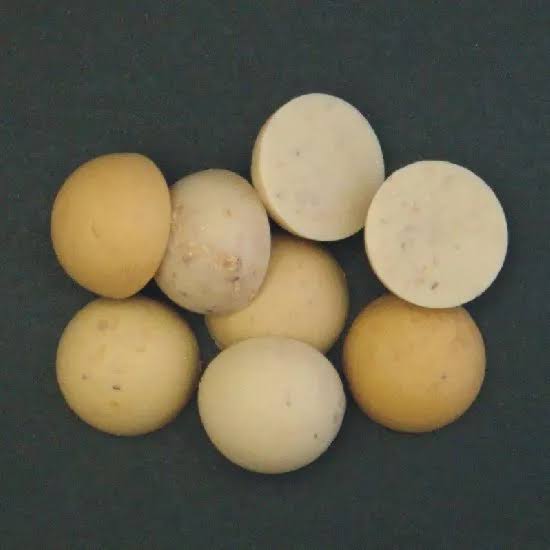 Enterprise Tackle 15mm Artificial Half Boilies - Imitation Carp Bait