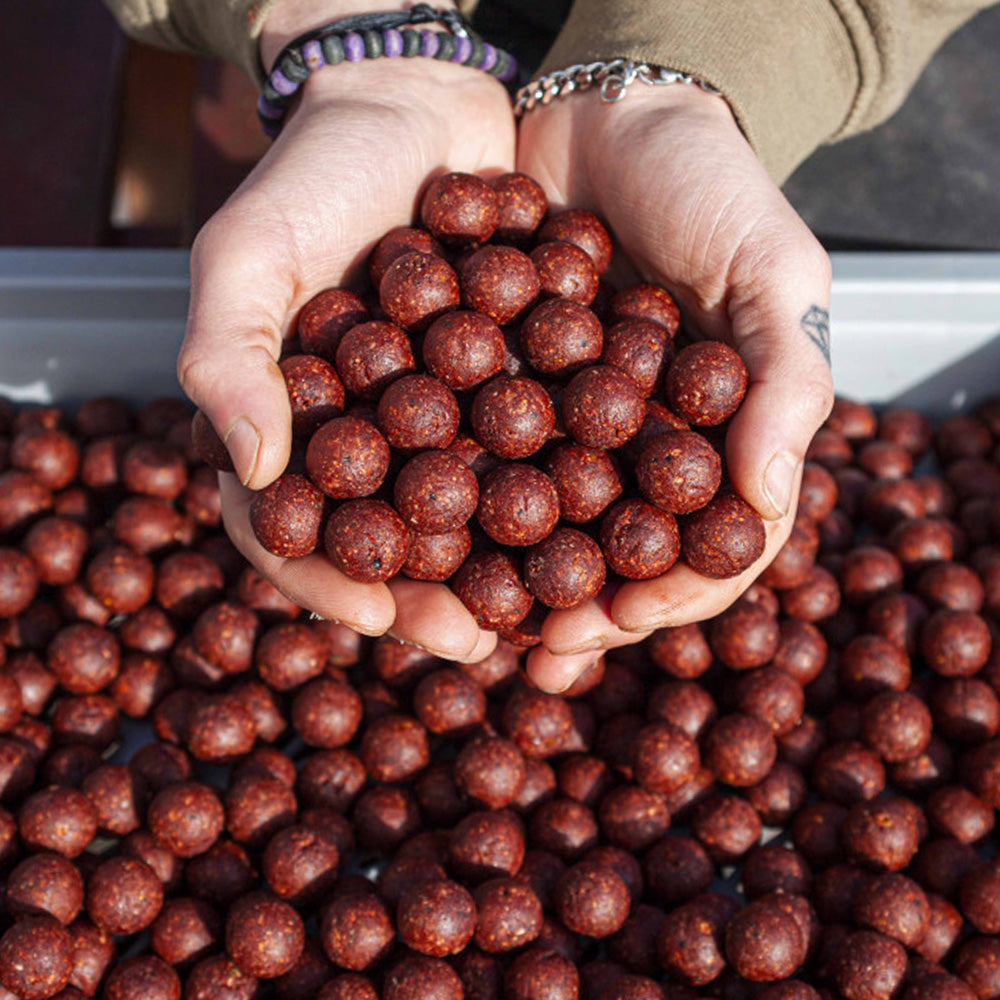 Nutrabaits BFM Big Fish mix - Inc Boilies, PopUps, Bag Mix