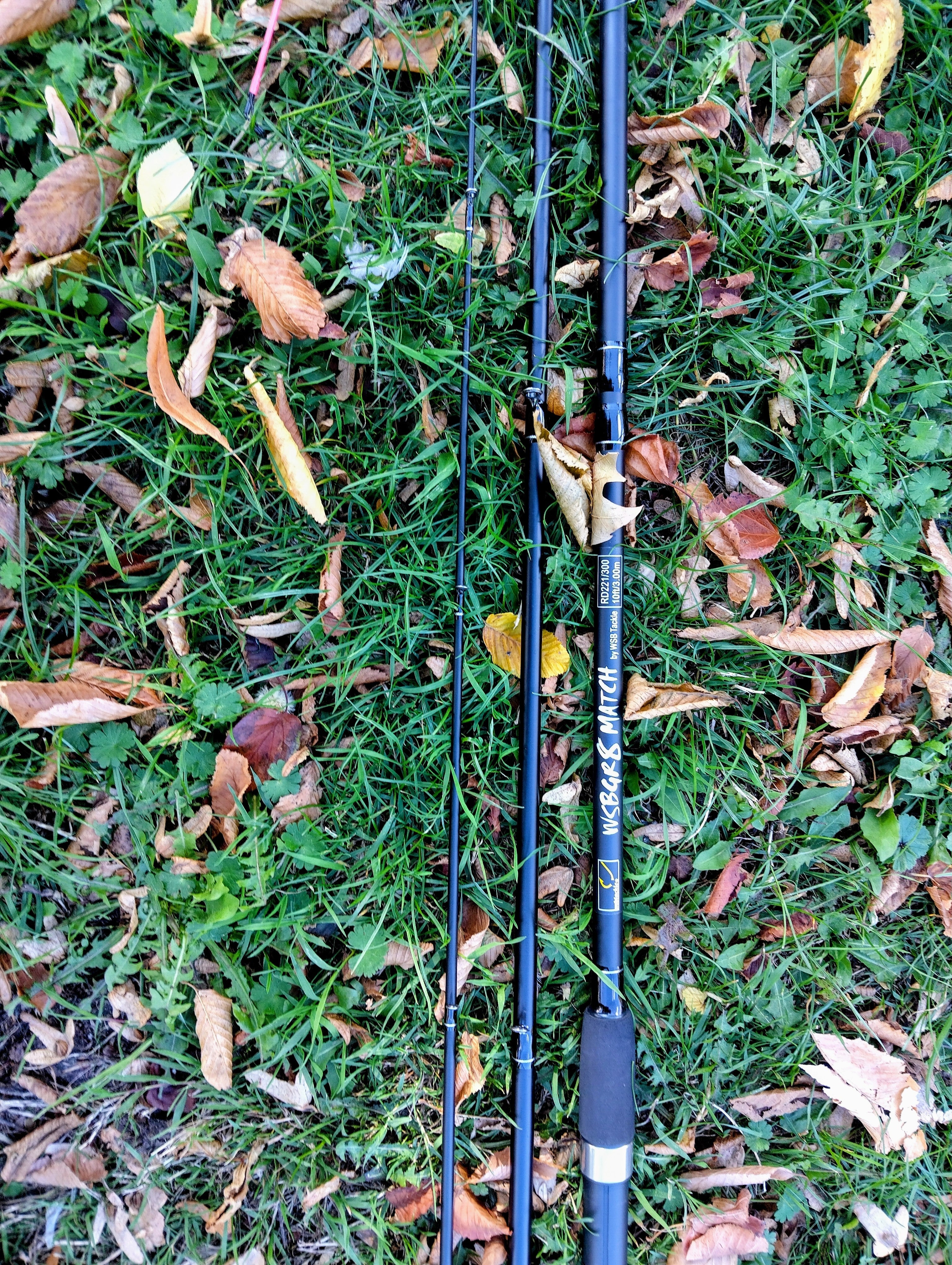 10' 3-Piece Match / Swingtip Rod